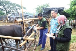 DKP Tangerang Ingatkan Warga: Beli Hewan Kurban di Lapak Berstiker Resmi