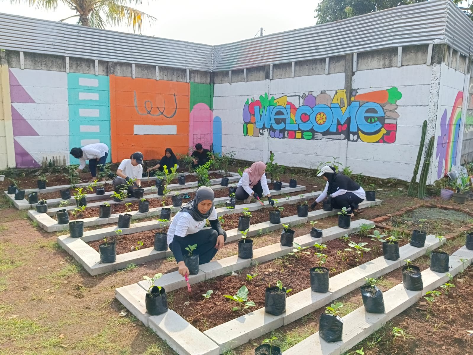 KWT Hidden Garden Gems: Inovasi Ramah Lingkungan dari Ibu-Ibu Graha Raya