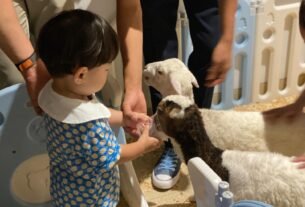 Libur Sekolah, Atria Hotel Gading Serpong Hadirkan Mini Zoo Edukatif
